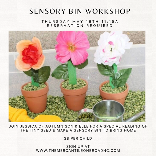 5/16 Sensory Bin Workshop