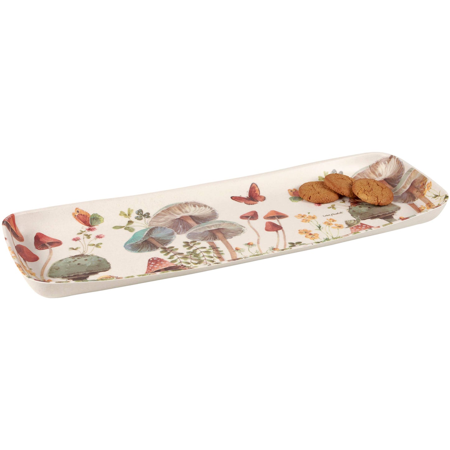 Mushroom Study Tray